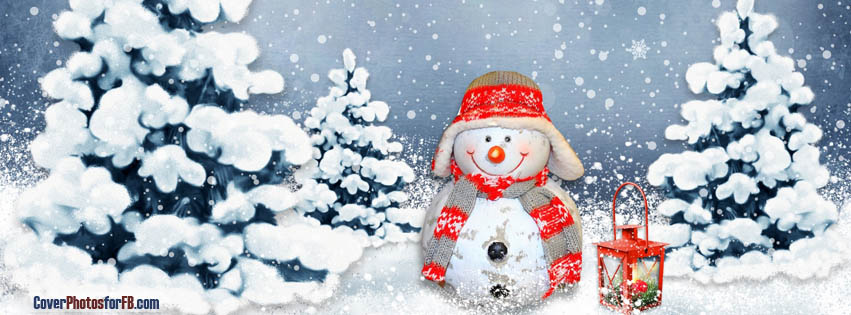 Funny Snowman Cover Photos for Facebook | ID#: 1150